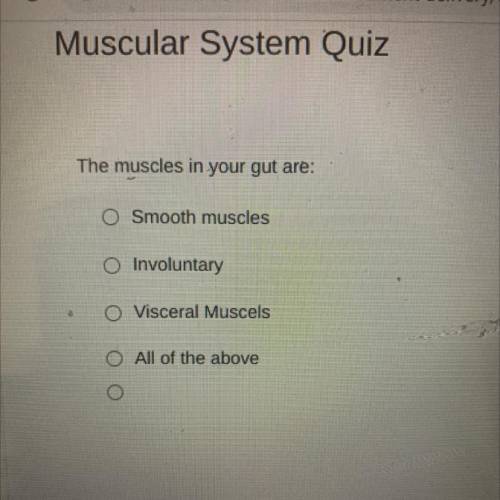 The muscles in your gut are:

Smooth muscles
Involuntary
Visceral Muscels
All of the above
(it is