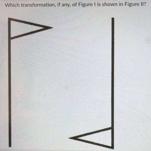 A. Reflection 
B. Rotation 
C. Translation 
D. No Transformation