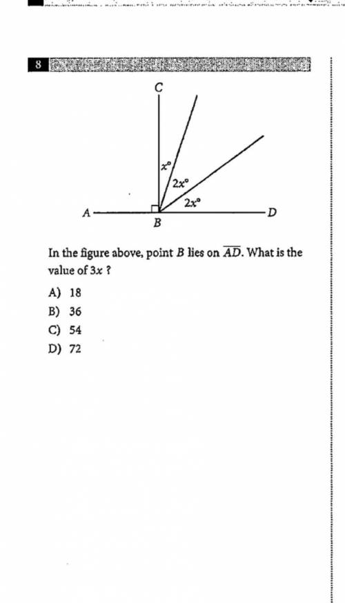 Can someone help me? I dont really know how to do this?