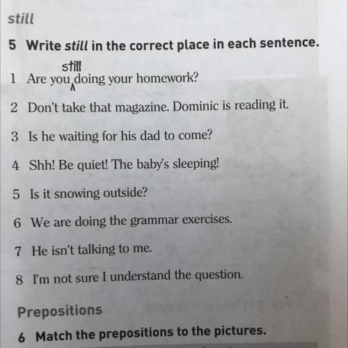Write STILL in the correct place in each sentence.
