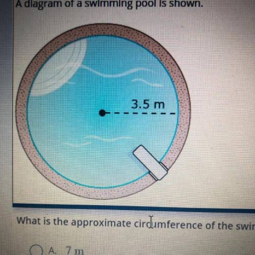 A diagram of a swimming pool is shown.

3.5 m
What is the approximate circumference of the swimmin