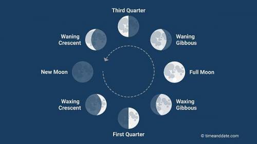 SOMEONE HELP JUST PUT THE MOON PHASES PLEASE help! ​