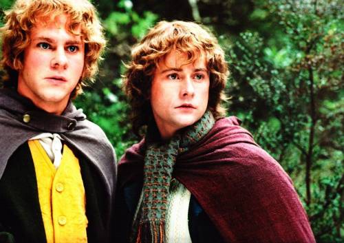 I LOVE FRODO BUT MERRY AND PIPPIN HIT DIFFERENT