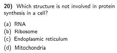 Which structure is not involved in protein synthesis in a cell?

A) RNA
B) Ribosome
C) Endoplasmic