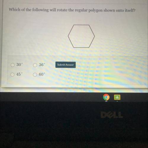Can someone plz help:(