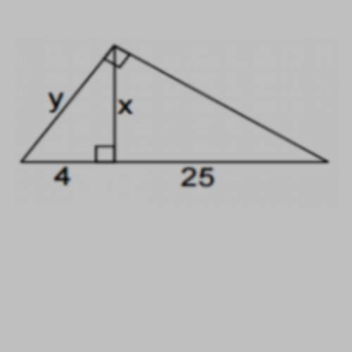 Guys help me please I need the solution. Find x and y