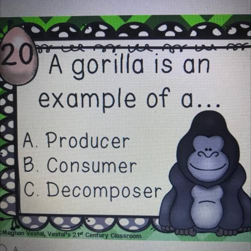 A gorilla is an example of a producer, consumer, or decomposer?