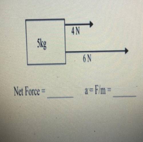 Calculate the net force and the acceleration on the block