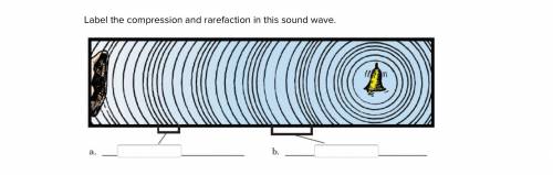 Label the compression and rarefaction in this sound wave.