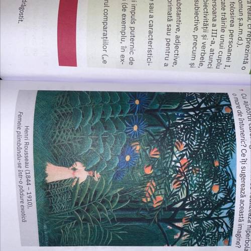Descrie felul in care este reprezentat jungla in pictura lui Herni Rousseau folosind doua hiperbole
