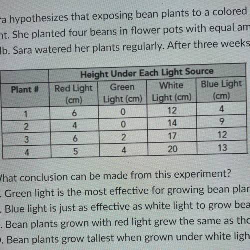 Sara hypothesizes that exposing bean plants to a colored light will produce plants that are half as