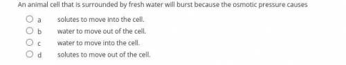 An animal cell that is surrounded by fresh water will burst because the osmotic pressure causes