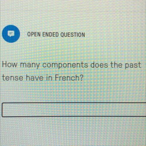 How many components does the past tense have in French?