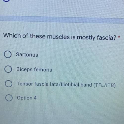 Which of these muscles is mostly fascia? *