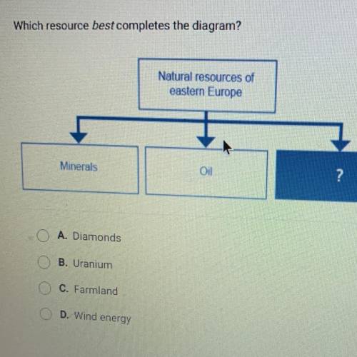 What resources best complete this diagram

A. Diamonds
B. Uranium 
C. Farmland
D. Wind energy