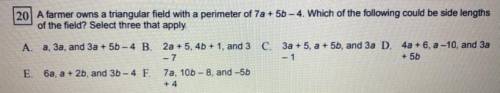 A farmer owns a triangular field with a perimeter of 7a + 5b - 4. Which of the following could be s