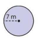 PLZZZ HELP
Find the circumference of the circle.