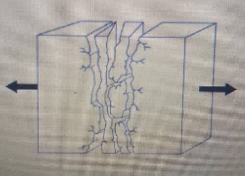 The diagram to the right shows rock that is being deformed by one type of stress. What type of stre