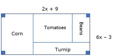 The diagram shows the blueprint of a vegetable garden. All dimensions are given in yards.

Which e