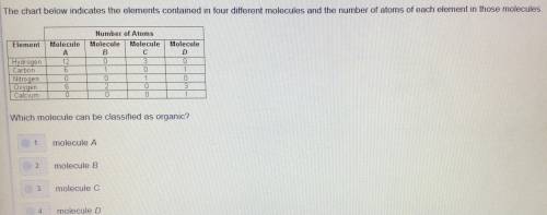 9th grade biology question. 10pts