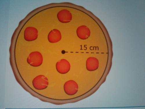 A diagram of a pizza is shown.

What is the appropriate circumstances of the pizza? Use 3.14 as an