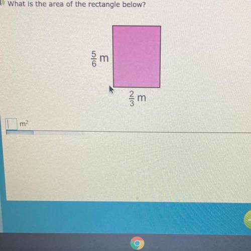 ) What is the area of the rectangle below?
5/6m 2/3m