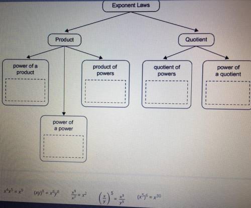 Complete the graphic organizer by dragging each expression to the exponent law it illustrates. Assu