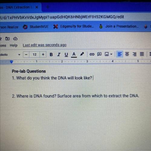 PLEASE HELP ASAP 
1. What do you think the DNA on a banana will look like?