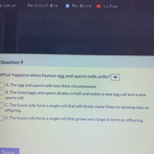 What happens when human egg and sperm cells unite?

Incase you can’t see the options: 
A. The egg