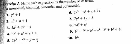 Name each expression by the number of it's terms. Use monomial, binomial, trinomial, and polynomial