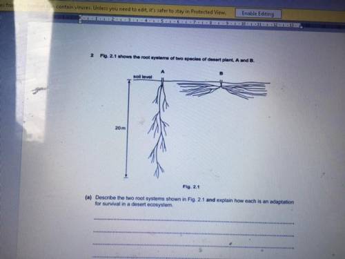 Can anybody please help me with this question in biology. Thankyou