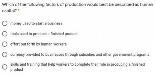 Which of the following factors of production would best be described as human capital? *