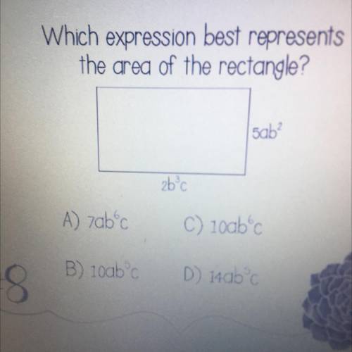 Which expression best represents
the area of the rectangle?