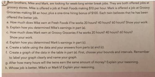 HURRY I NEED THE ANSWER ASAP After how many hours would the twins earn the same amount of money?