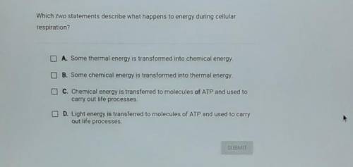 Which two statements describe what happens to energy during cellular respiration? A. Some thermal e