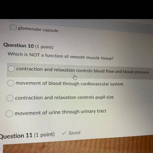 Which is not a function of smooth muscle tissue?