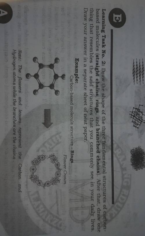 learning task no.2: draw a shape of the three fundamental structures of carbon based molecules (str