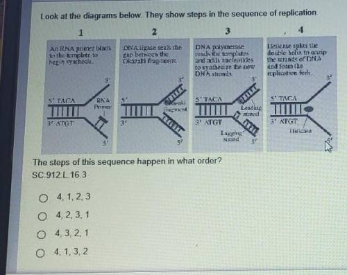Look at the diagrams below. They show steps in the sequence of replication.