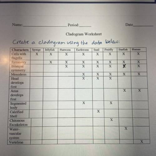 Use data to make cladogram chart