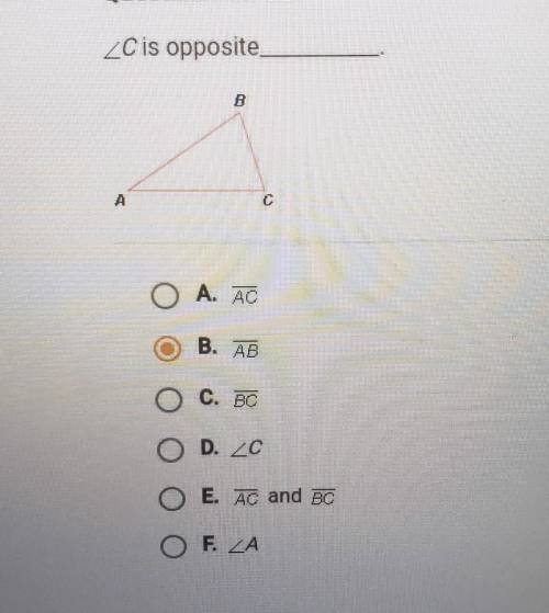 Angle c is opposite to?