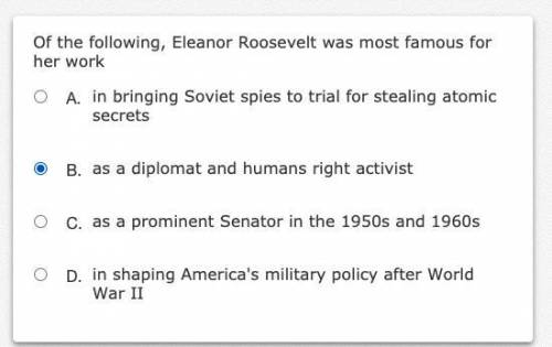 Of the following elanor roosevelt was most famous for her work..