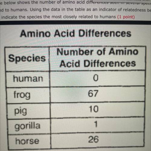 The table below shows the number of amino acid differences seen in several species compared to huma