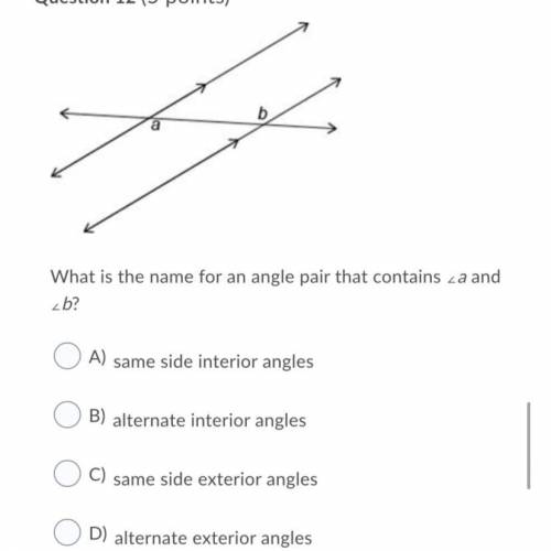 What is the name for an angle pair that contains ∠a and ∠b?

Question 12 options:
A) 
same side in