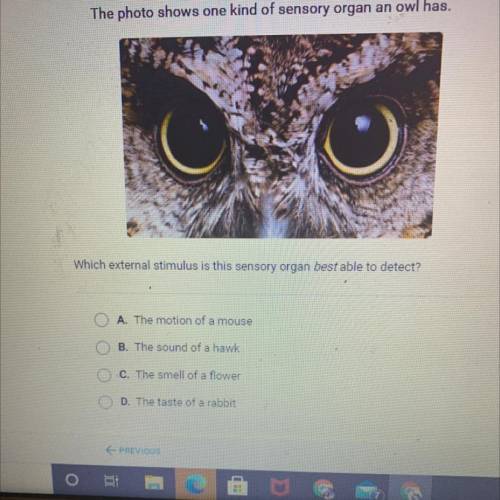 The photo shows one kind of sensory organ a owl has. Which external stimulus is this sensory organ