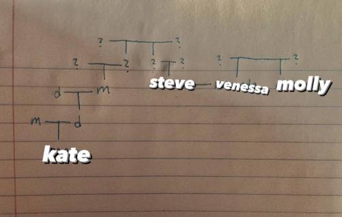 FAMILY TREE THINGY

what would the name of molly and kate’s relatedness be called?
that or the nam