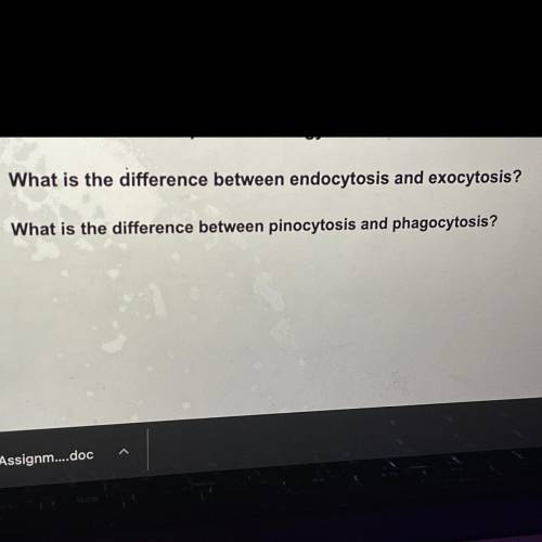 What is the difference between endocytosis and exocytosis?