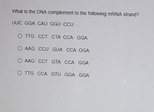 DNA vs RNA please help me!