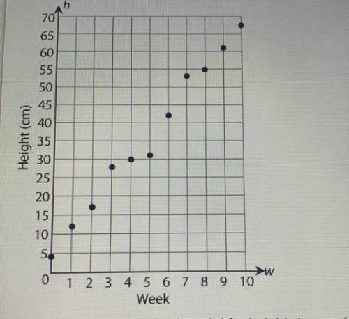 ZAHARA MEASURED THE HEIGHT PF HER PLANT EACH WEEK AND GRAPHED THE DATA , AS SHOWN BELOW

WHICH EQU
