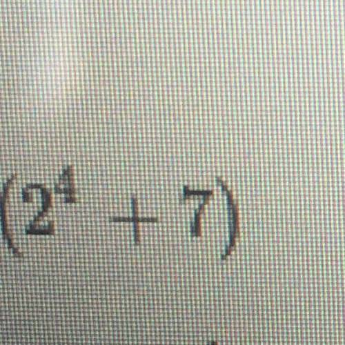 What is the answer to
24(4 goes up)+7