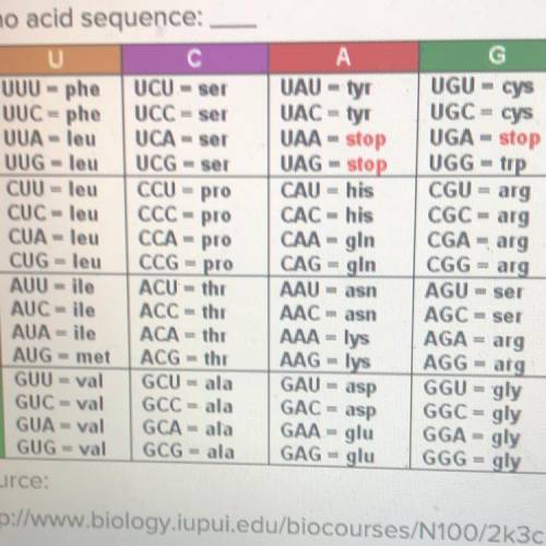 Using the following mRNA sequence and chart, write down the

corresponding three-letter abbreviati